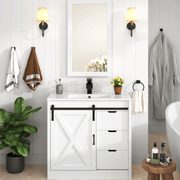 36 Inch Single Bathroom Vanity Cabinet with Sink
